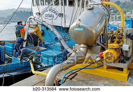 Unloading fish at fishing port. Getaria. Guipzcoa, Spain View Large Photo Image Picture - Unloading fish at fishing port. Getaria. Guipzcoa, Spain. Fotosearch