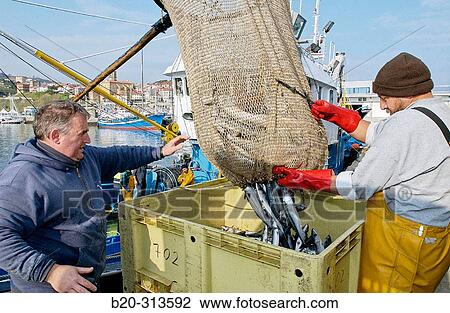 Unloading fish at fishing port. Getaria. Guipzcoa, Spain View Large Photo Image Stock Image - Unloading fish at fishing port. Getaria. Guipzcoa, Spain. Fotosearch