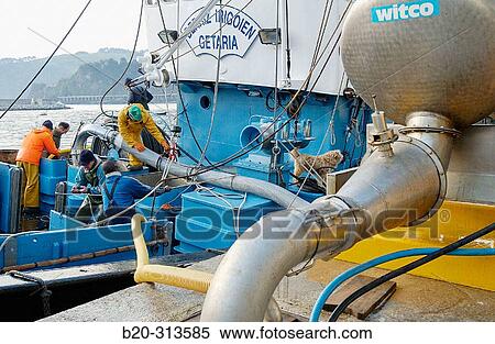 Unloading fish at fishing port. Getaria. Guipzcoa, Spain View Large Photo Image Stock Photography - Unloading fish at fishing port. Getaria. Guipzcoa, Spain. Fotosearch
