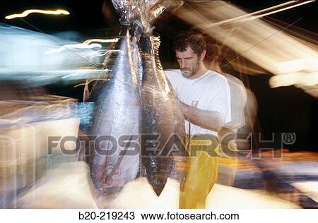Unloading tuna at port. Getaria. Guipzcoa. Euskadi. Spain View Large Photo Image Stock Image - Unloading tuna at port. Getaria. Guipzcoa. Euskadi. Spain. Fotosearch