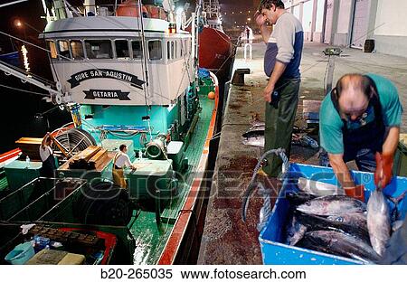 Stock Photography - Unloading tuna fish. Getaria. Guipuzcoa. Basque Country. Spain. Fotosearch