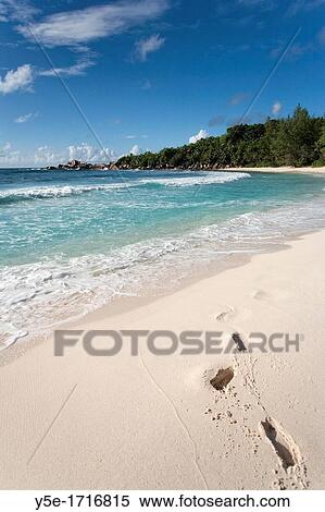 Unspoilt beach at Anse Cocos - La Digue Island - The Seychelles View Large Photo Image Stock Photography - Unspoilt beach at Anse Cocos - La Digue Island - The Seychelles. Fotosearch