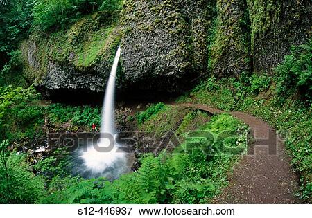 Upper Horsetail Falls. Columbia River Gorge. Oregon. USA. View Large Photo Image Stock Photo - Upper Horsetail Falls. Columbia River Gorge. Oregon. USA.. Fotosearch