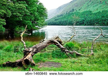 Stock Photography - Upper Lake at Glendalough Wicklow Mountains National Park County Wicklow Ireland. Fotosearch