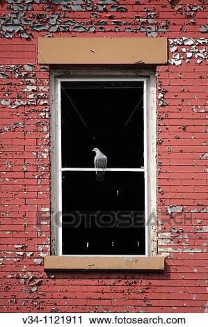 Stock Image - Urban Decay. Fotosearch