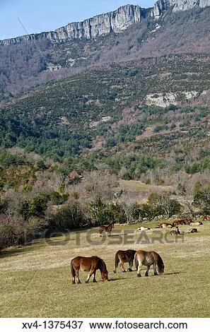 Stock Photo - Urdiroz village, Arce Valley, Navarre, Spain. Fotosearch