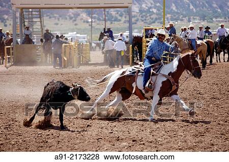 Stock Photo - USA, Arizona, Navajo reservation, Window Rock the capital during the annual september fair, rodeo, calf roping. Fotosearch