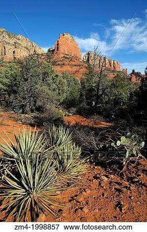 USA, ARIZONA, NEAR SEDONA, BRINS MESA TRAIL, VIEW TOWARDS STEAMBOAT ROCK. View Large Photo Image Stock Photo - USA, ARIZONA, NEAR SEDONA, BRINS MESA TRAIL, VIEW TOWARDS STEAMBOAT ROCK.. Fotosearch