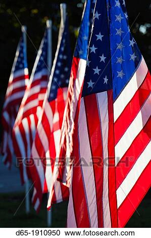 Stock Image - USA, Arkansas, Heber Springs, USA flags. Fotosearch