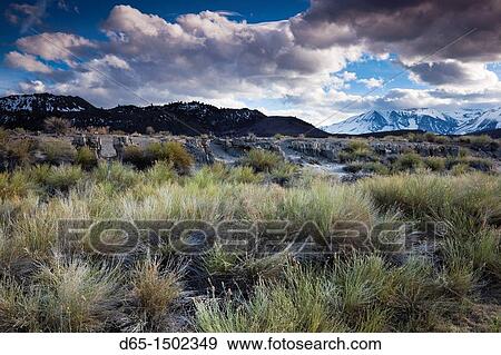 USA, California, Eastern Sierra Nevada Area, Lee Vining, Mono Lake, mountain landscape View Large Photo Image Stock Photo - USA, California, Eastern Sierra Nevada Area, Lee Vining, Mono Lake, mountain landscape. Fotosearch
