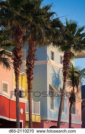 USA, Florida, Gulf Coast, Fort Myers Beach, pastel buildings and palm trees, dawn. View Large Photo Image Stock Image - USA, Florida, Gulf Coast, Fort Myers Beach, pastel buildings and palm trees, dawn.. Fotosearch