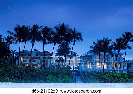 USA, Florida, Gulf Coast, Naples, beach front houses, dawn. View Large Photo Image Stock Photo - USA, Florida, Gulf Coast, Naples, beach front houses, dawn.. Fotosearch