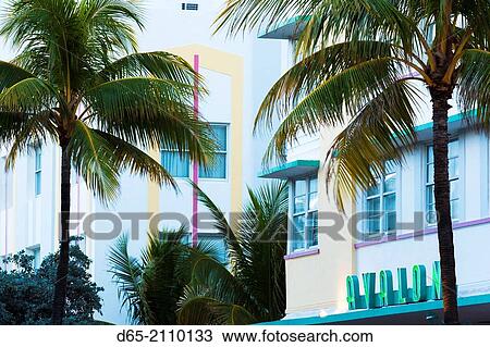 USA, Florida, Miami Beach, South Beach hotels on Ocean Drive, morning. View Large Photo Image Stock Image - USA, Florida, Miami Beach, South Beach hotels on Ocean Drive, morning.. Fotosearch