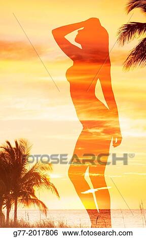 Usa. Florida. Miami Beach. Woman's shilouette against sunset on a beach. View Large Photo Image Stock Photograph - Usa. Florida. Miami Beach. Woman's shilouette against sunset on a beach.. Fotosearch