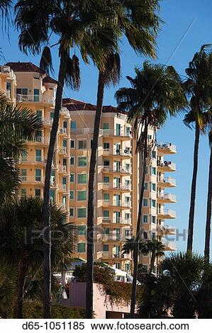 USA, Florida, St Petersburg, highrise buildings by Vinoy Park View Large Photo Image Stock Photography - USA, Florida, St Petersburg, highrise buildings by Vinoy Park. Fotosearch