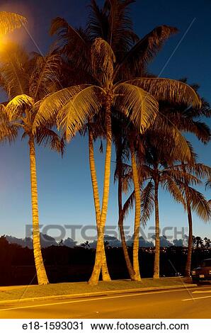 USA, Hawaii, Oahu Waikiki View Large Photo Image Stock Image - USA, Hawaii, Oahu Waikiki. Fotosearch