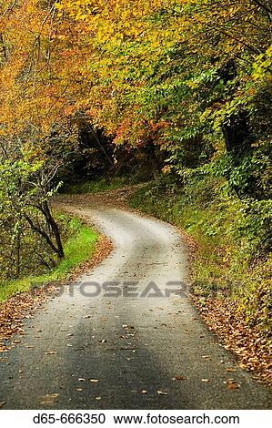 USA-Kentucky-Paintsville: Country Road Autumn- Butcher Holler View Large Photo Image Stock Image - USA-Kentucky-Paintsville: Country Road Autumn- Butcher Holler. Fotosearch