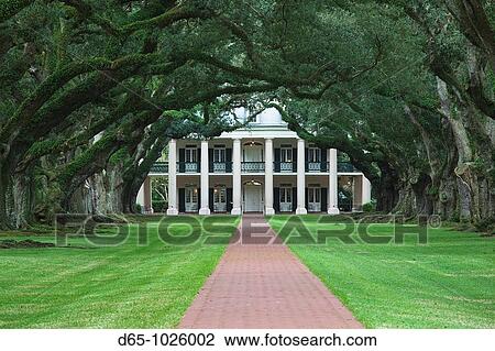 USA, Louisiana, Vacherie, Oak Alley Plantation, anti-bellum River Road mansion View Large Photo Image Stock Image - USA, Louisiana, Vacherie, Oak Alley Plantation, anti-bellum River Road mansion. Fotosearch