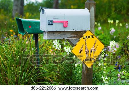 USA, Maine, Mt. Desert Island, Bernard, mailboxes and giraffe crossing sign. View Large Photo Image Stock Photography - USA, Maine, Mt. Desert Island, Bernard, mailboxes and giraffe crossing sign.. Fotosearch