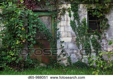USA, Maryland, Eastern Shore of Chesapeake Bay, Royal Oak, overgrown house View Large Photo Image Stock Image - USA, Maryland, Eastern Shore of Chesapeake Bay, Royal Oak, overgrown house. Fotosearch