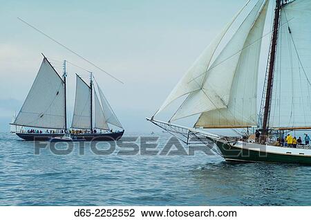 USA, Massachusetts, Gloucester, Schooner Festival, schooners in Gloucester Harbor. View Large Photo Image Stock Image - USA, Massachusetts, Gloucester, Schooner Festival, schooners in Gloucester Harbor.. Fotosearch