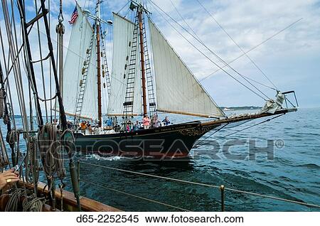 USA, Massachusetts, Gloucester, Schooner Festival, schooners in Gloucester Harbor. View Large Photo Image Stock Photography - USA, Massachusetts, Gloucester, Schooner Festival, schooners in Gloucester Harbor.. Fotosearch