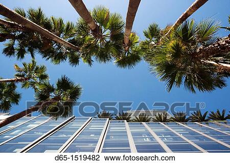 Stock Image - USA, Nevada, Las Vegas, CityCenter, Cosmopolitan Hotel, palms. Fotosearch