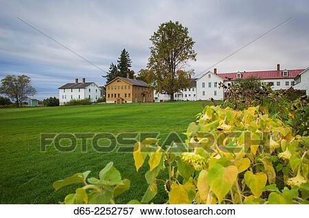 Stock Photo - USA, New Hampshire, Canterbury, Canterbury Shaker Village, former Shaker religious community, sunflower garden.. Fotosearch