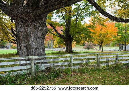 USA, New Hampshire, Canterbury, Canterbury Shaker Village, former Shaker religious community, Meeting House Lane, autumn. View Large Photo Image Stock Photography - USA, New Hampshire, Canterbury, Canterbury Shaker Village, former Shaker religious community, Meeting House Lane, autumn.. Fotosearch