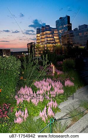 Stock Image - USA, New York, New York City, Manhattan, West Side, Meat Packing District, High Line Elevated Park at Sunset. Fotosearch