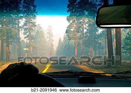 USA-Oregon. smoke after a fire in the Willamette Forest, near Sisters. View Large Photo Image Stock Photograph - USA-Oregon. smoke after a fire in the Willamette Forest, near Sisters.. Fotosearch