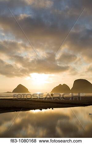 USA, Oregon, Tillamook County, Oceanside, Three Arch Rocks and beach, just before sunset, people walking on beach, low tide, August View Large Photo Image Stock Photo - USA, Oregon, Tillamook County, Oceanside, Three Arch Rocks and beach, just before sunset, people walking on beach, low tide, August. Fotosearch
