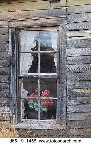 Stock Photography - USA, South Dakota, Cactus Flat, Prairie Homestead, homesteader sod house, window detail. Fotosearch