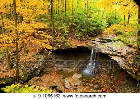 USA View Large Photo Image Stock Image - USA. Fotosearch