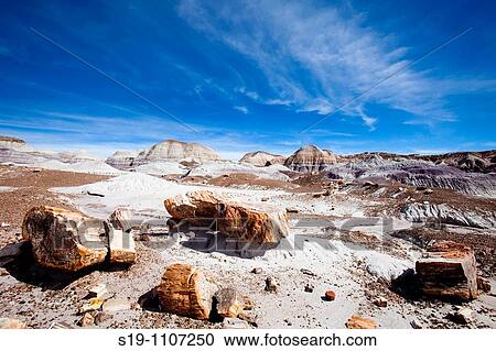USA View Large Photo Image Stock Image - USA. Fotosearch