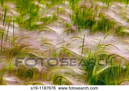 USA View Large Photo Image Stock Photograph - USA. Fotosearch