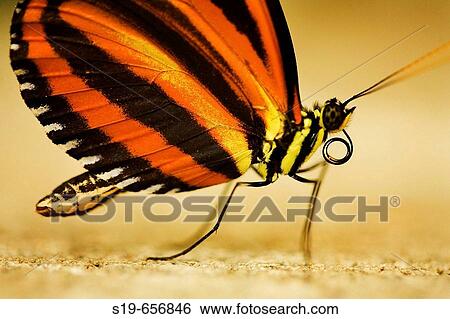 USA View Large Photo Image Stock Photograph - USA. Fotosearch