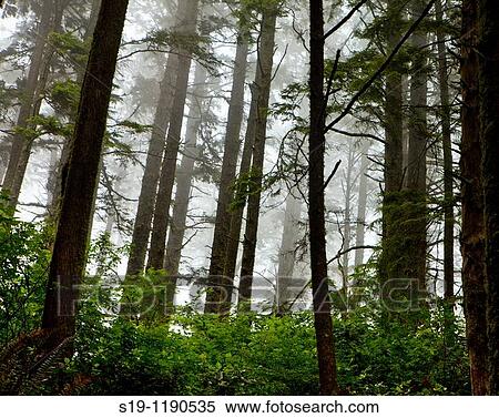 USA View Large Photo Image Stock Photography - USA. Fotosearch