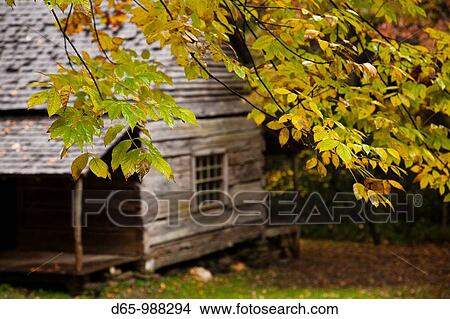USA, Tennessee, Gatlinburg, Great Smoky Mountains National Park, historic Bud Ogle Farm, 1883-1925, autumn View Large Photo Image Picture - USA, Tennessee, Gatlinburg, Great Smoky Mountains National Park, historic Bud Ogle Farm, 1883-1925, autumn. Fotosearch