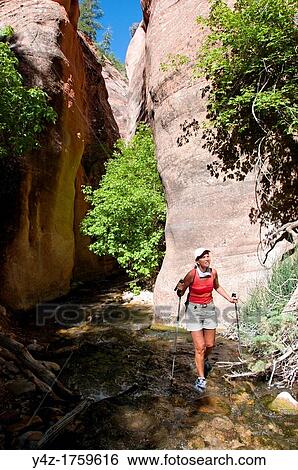 USA Utah, hike up the slot canyon known as Kanarra Creek, near Zion National Park, showing the red iron oxide rocks and the water stream erosion creating magnificent scenery MR View Large Photo Image Stock Photograph - USA Utah, hike up the slot canyon known as Kanarra Creek, near Zion National Park, showing the red iron oxide rocks and the water stream erosion creating magnificent scenery MR. Fotosearch