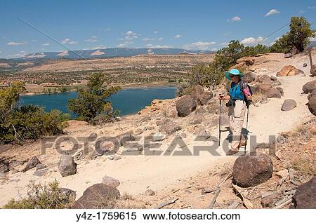 USA, Utah, woman hiking at Escalante at Escalante Petrified Forest State Park to enjoy the petrified wood, views of the Grand Staircase and Colorado Plateau, and local vegetation such as pinon pine and Utah juniper MR View Large Photo Image Stock Photography - USA, Utah, woman hiking at Escalante at Escalante Petrified Forest State Park to enjoy the petrified wood, views of the Grand Staircase and Colorado Plateau, and local vegetation such as pinon pine and Utah juniper MR. Fotosearch