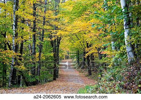 USA, Vermont, Near Pecham City. View Large Photo Image Stock Photography - USA, Vermont, Near Pecham City.. Fotosearch