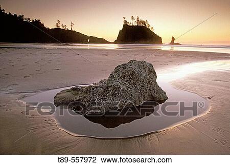 USA, Washington, Olympic National Park, Second Beach View Large Photo Image Stock Image - USA, Washington, Olympic National Park, Second Beach. Fotosearch