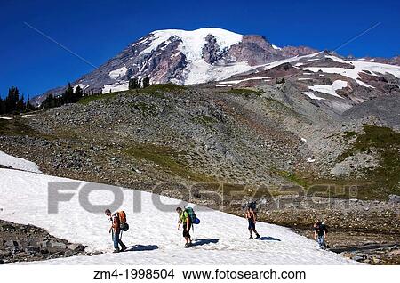 USA, WASHINGTON STATE, MT. RAINIER NATIONAL PARK, SKYLINE TRAIL, BACKPACKERS WITH MT. RAINIER IN BACKGROUND. View Large Photo Image Picture - USA, WASHINGTON STATE, MT. RAINIER NATIONAL PARK, SKYLINE TRAIL, BACKPACKERS WITH MT. RAINIER IN BACKGROUND.. Fotosearch