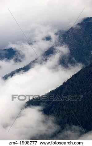 USA, WASHINGTON STATE, OLYMPIC PENINSULA, OLYMPIC NATIONAL PARK, VIEW FROM HURRICANE RIDGE, CLOUDS. View Large Photo Image Stock Photo - USA, WASHINGTON STATE, OLYMPIC PENINSULA, OLYMPIC NATIONAL PARK, VIEW FROM HURRICANE RIDGE, CLOUDS.. Fotosearch