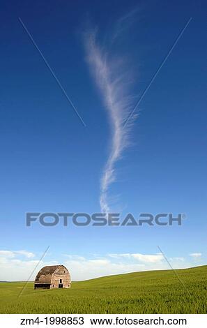 Stock Image - USA, WASHINGTON STATE, PALOUSE COUNTRY NEAR PULLMAN, OLD BARN IN WHEAT FIELD, SLOWLY FALLING APART, JET TRAIL.. Fotosearch