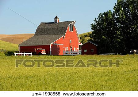 USA, WASHINGTON STATE, PALOUSE COUNTRY NEAR PULLMAN, RED BARN IN WHEAT FIELD, OLD TRUCK IN FRONT OF BARN. View Large Photo Image Stock Photo - USA, WASHINGTON STATE, PALOUSE COUNTRY NEAR PULLMAN, RED BARN IN WHEAT FIELD, OLD TRUCK IN FRONT OF BARN.. Fotosearch