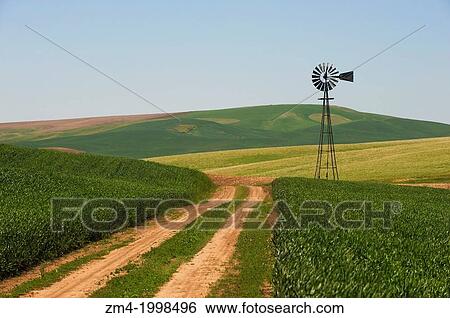 USA, WASHINGTON STATE, PALOUSE COUNTRY, WINDMILL. View Large Photo Image Stock Photograph - USA, WASHINGTON STATE, PALOUSE COUNTRY, WINDMILL.. Fotosearch