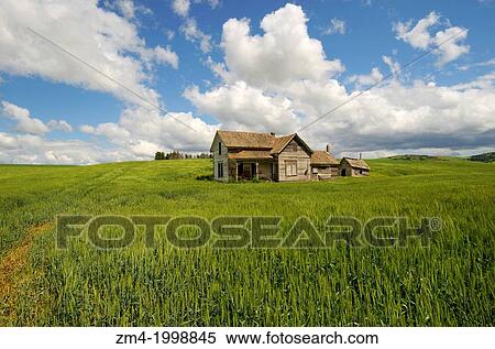 USA, WASHINGTON STATE, PALOUSE COUNTRY NEAR PULLMAN, ABANDONED FARM HOUSE IN WHEAT FIELD, CUMULUS CLOUDS. View Large Photo Image Stock Photography - USA, WASHINGTON STATE, PALOUSE COUNTRY NEAR PULLMAN, ABANDONED FARM HOUSE IN WHEAT FIELD, CUMULUS CLOUDS.. Fotosearch