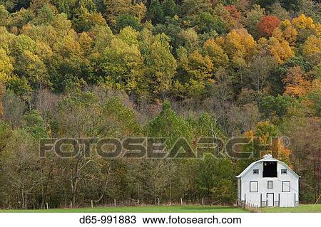 USA, West Virginia, Seneca Rocks, barn and autumn foliage View Large Photo Image Stock Image - USA, West Virginia, Seneca Rocks, barn and autumn foliage. Fotosearch